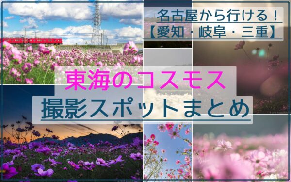 名古屋近郊の東海のコスモスおすすめ撮影スポット40か所☆愛知/岐阜/三重の情報まとめ!