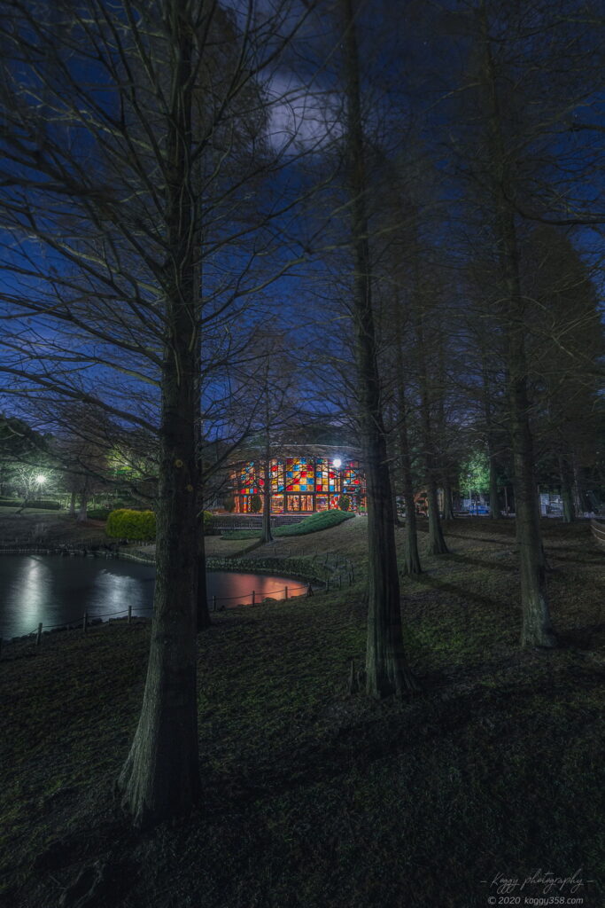 於大公園のこのはな館の「このはな彩」で、ステンドグラス装飾のリフレクション夜景を撮影