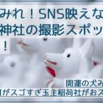 初詣におすすめ！インスタ映え伊奴神社の"いぬみくじ"など撮影スポットを紹介！