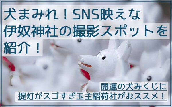 初詣におすすめ!インスタ映え伊奴神社の"いぬみくじ"など撮影スポットを紹介!