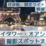 中部電力MIRAI TOWER(旧名古屋テレビ塔)とオアシス21の撮影スポットまとめ！河津桜や限定ライトアップの夜景もアリ！
