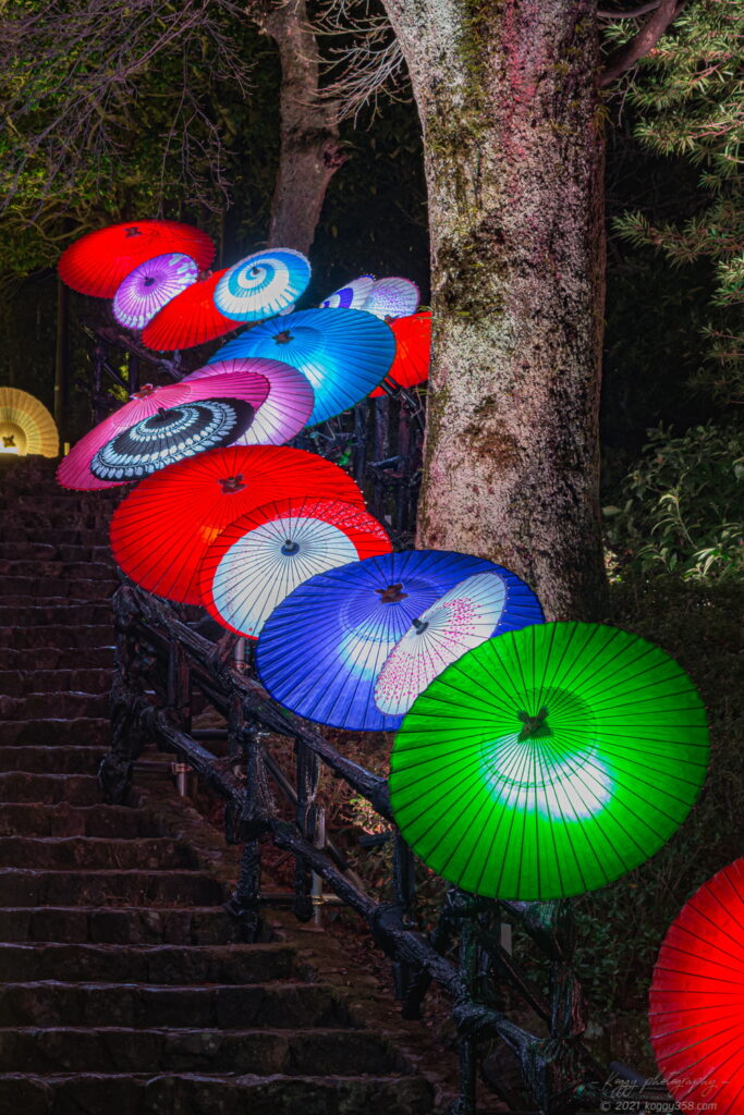 岐阜公園で開催されたぎふ灯り物語 ～アート＆ヒストリー～の和傘などのライトアップの夜景を撮影