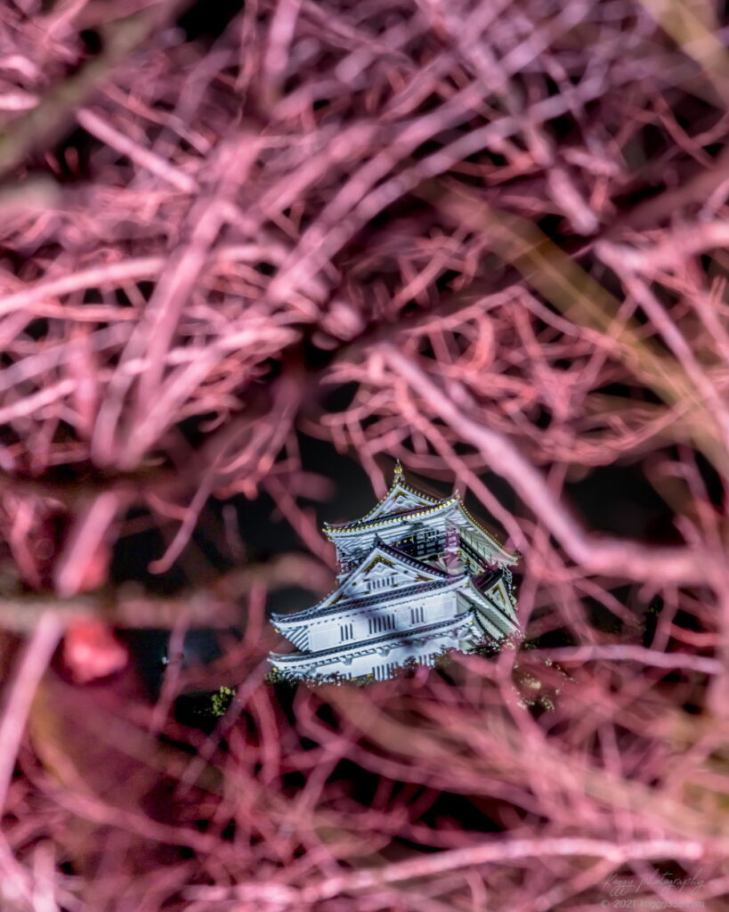 岐阜公園で開催されたぎふ灯り物語 ～アート＆ヒストリー～の和傘などのライトアップで岐阜城の夜景を撮影