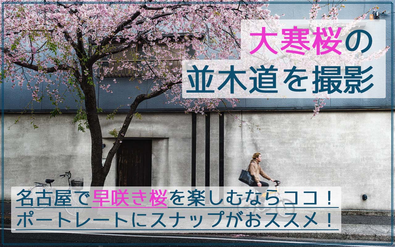 名古屋で一番早い桜の見ごろ！オオカンザクラの並木道でポートレートやスナップを撮影！
