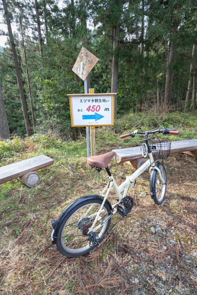美杉のミツマタ群生の道中にある距離表示の看板