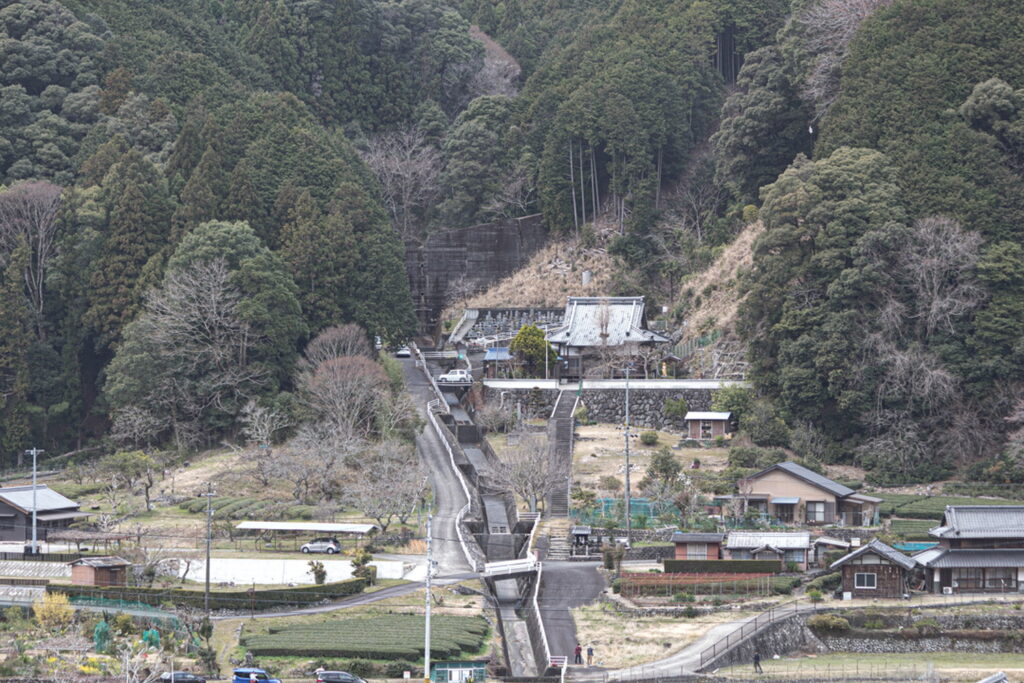 竹原の薄墨桜と茶畑と名松線の電車を俯瞰で撮影する際の撮影スポット