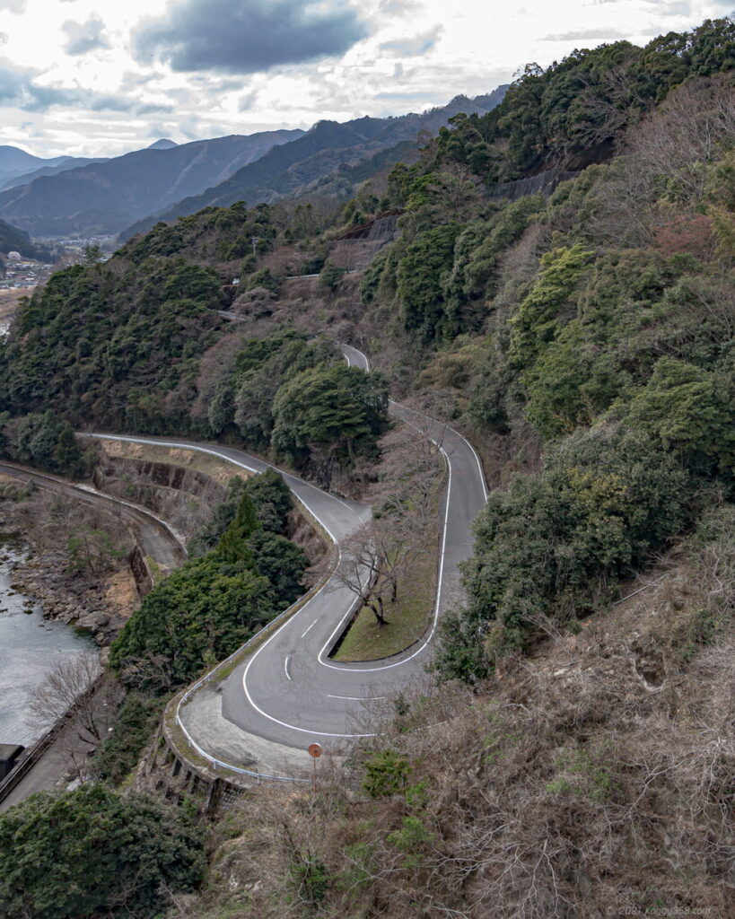 竹原の薄墨桜が見ごろのころの君ヶ野ダムの桜の雰囲気