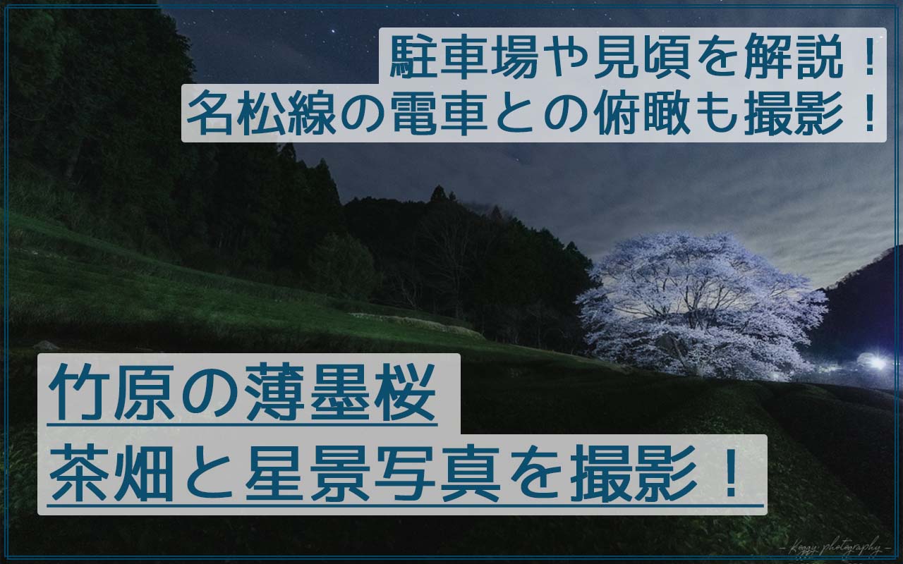 竹原の薄墨桜と茶畑の星景写真を撮影！名松線の電車と定番構図も撮影！