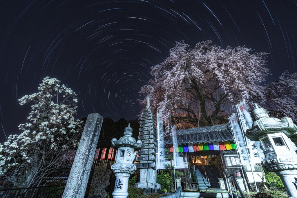 林陽寺でしだれ桜と星景写真の軌跡を撮影