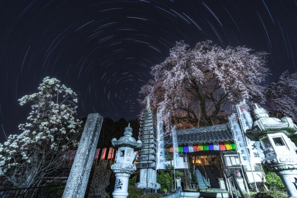 林陽寺でしだれ桜のライトアップと北向きの軌跡の星景写真を撮影！