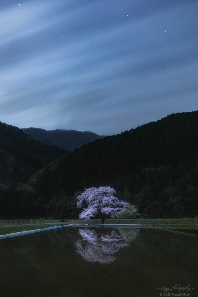 神龍桜のリフレクションと星景写真の夜景を撮影