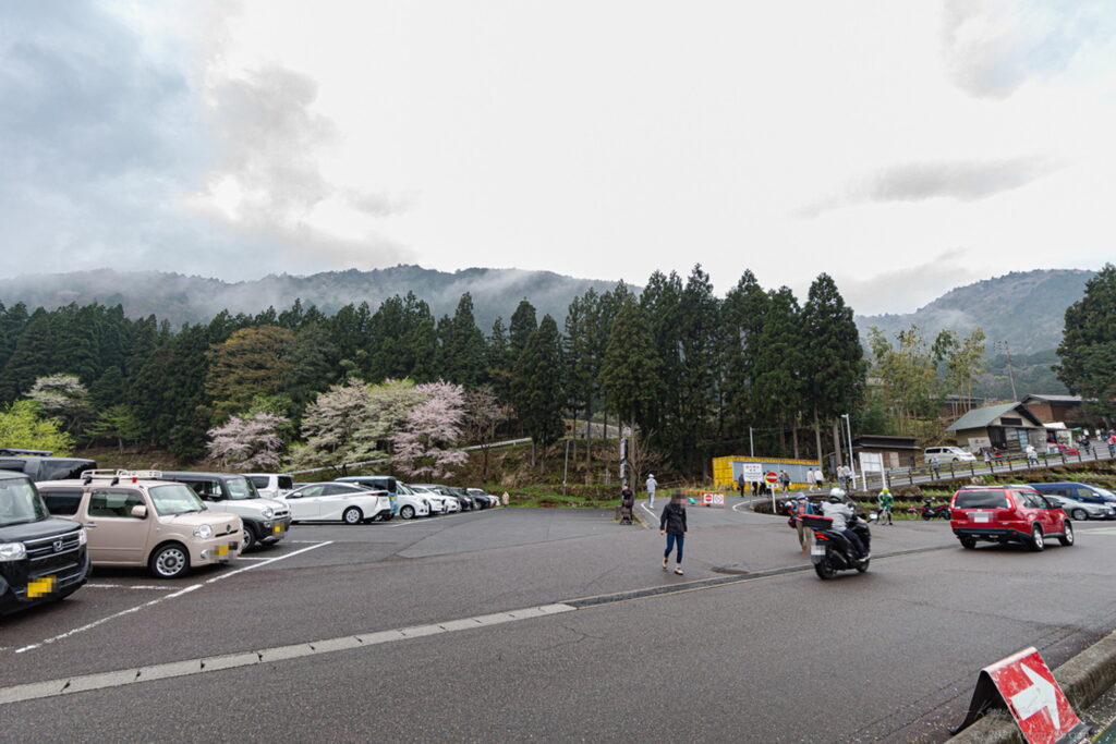 根尾谷薄墨桜の駐車場の雰囲気