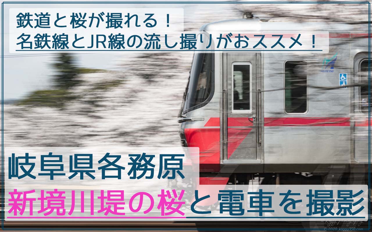 新境川堤で桜と鉄道写真を撮影！JRと名鉄を流し撮り！