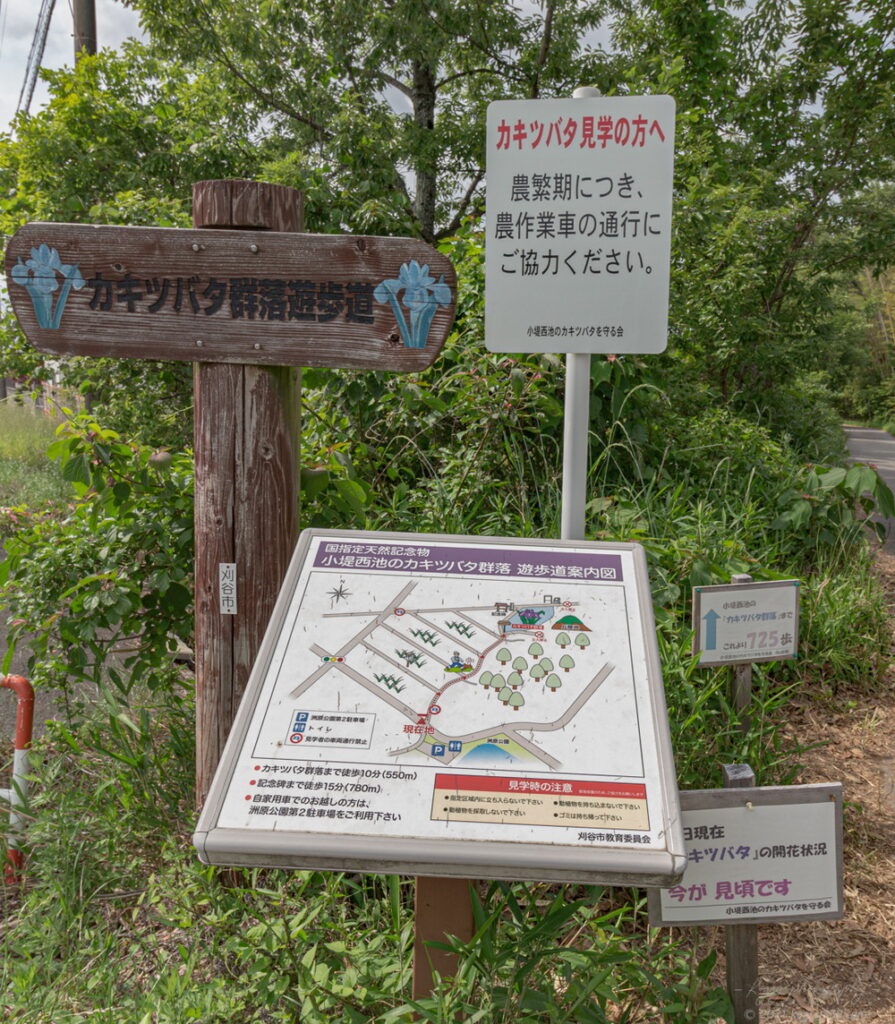 愛知県刈谷市の日本三大カキツバタ自生地の小堤西池のカキツバタ群落の道中のアクセスマップの地図の雰囲気を撮影