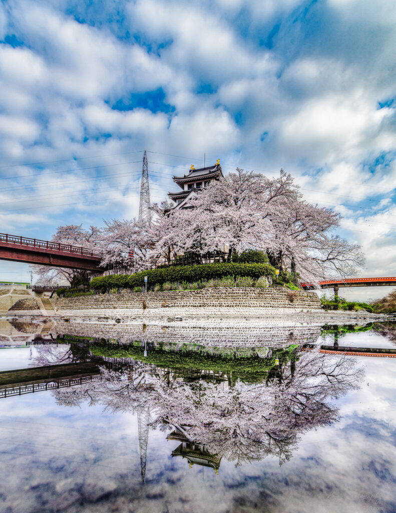 岐阜県大垣市の墨俣一夜城と桜を犀川の水位が落ちた堰の近くでリフレクションさせて撮影