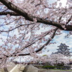 季節ごとの墨俣一夜城の風景を撮影！春は桜、夏はあじさいのスポット！