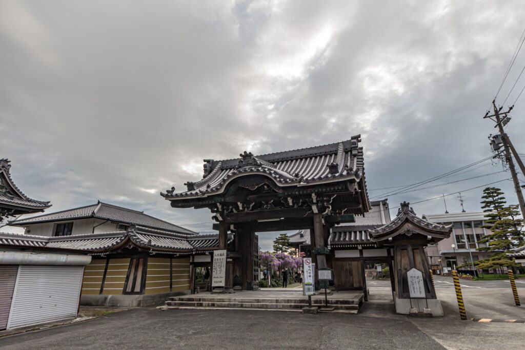 竹鼻別院の山門から見える藤棚の風景の雰囲気を撮影