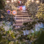 名古屋市熱田区のナンジャモンジャ(ヒトツバタゴ)並木道の夜景を撮影