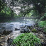 光芒の名所！円原の伏流水の行き方、通行止め・駐車場の情報まとめ！