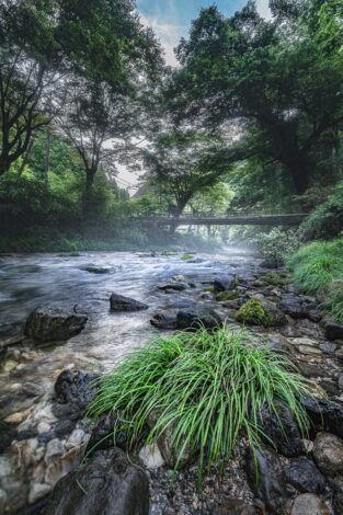 光芒の名所！円原の伏流水の行き方、通行止め・駐車場の情報まとめ！
