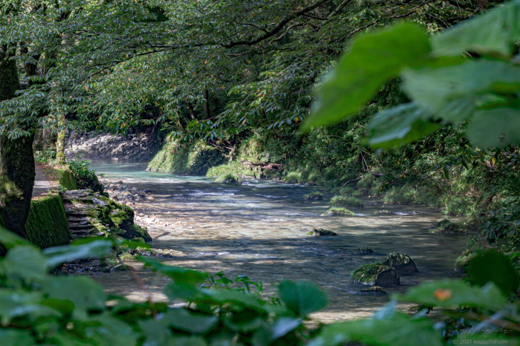 円原の伏流水の手前で円原川を撮影