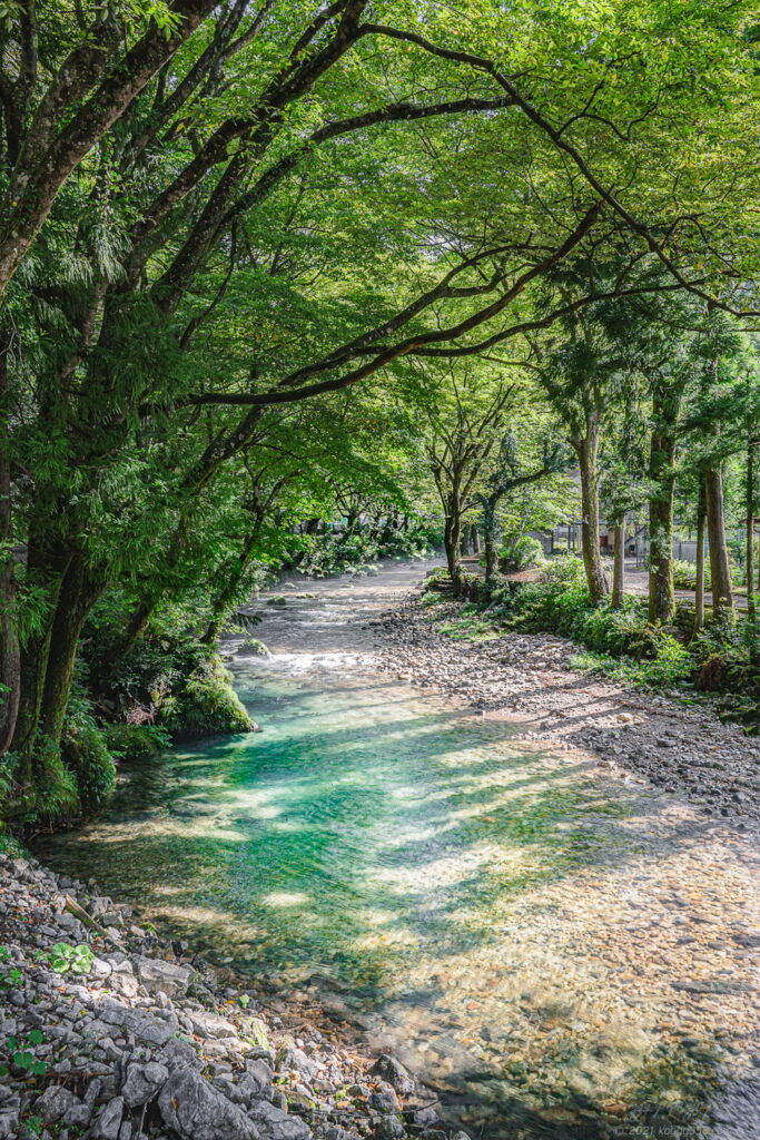 円原の伏流水の手前で円原川を撮影