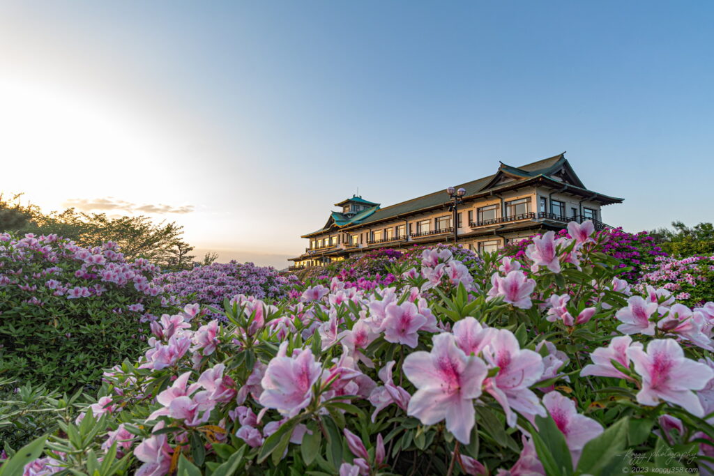 蒲郡クラシックホテルのつつじまつりと夕焼けのマジックアワーの雰囲気を撮影