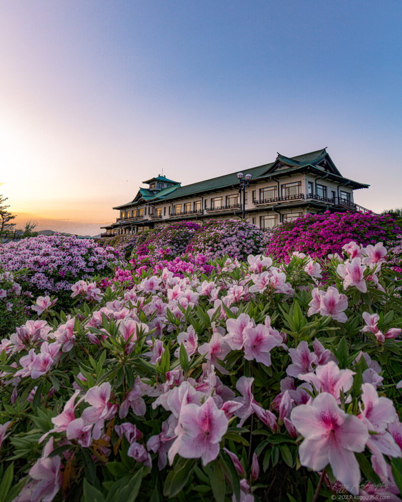蒲郡クラシックホテルのつつじまつりと夕焼けのマジックアワーの雰囲気を撮影