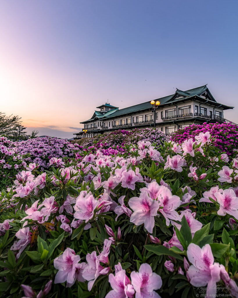 蒲郡クラシックホテルのつつじまつりと夕焼けのマジックアワーの雰囲気を撮影
