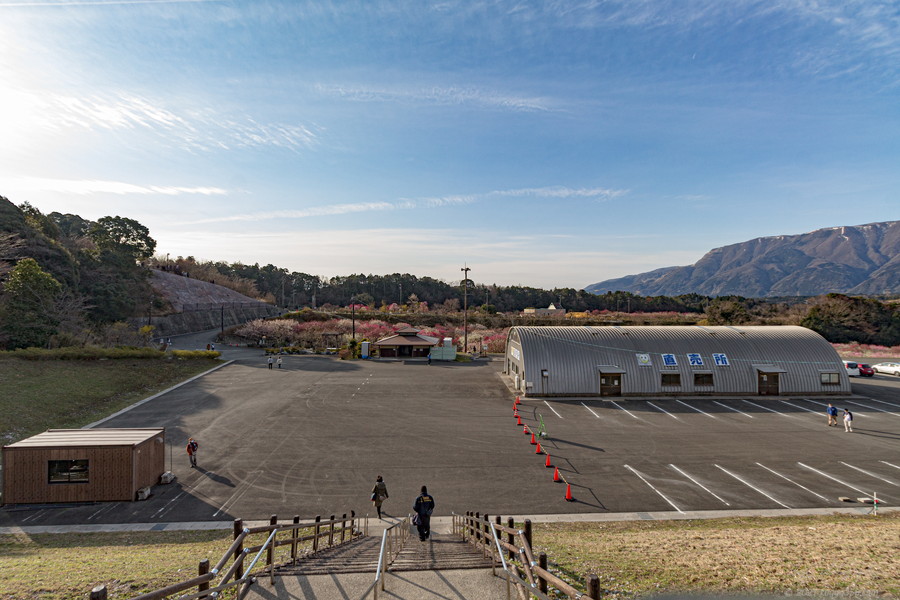 いなべ市農業公園梅林公園の見晴らし展望台への行き方
