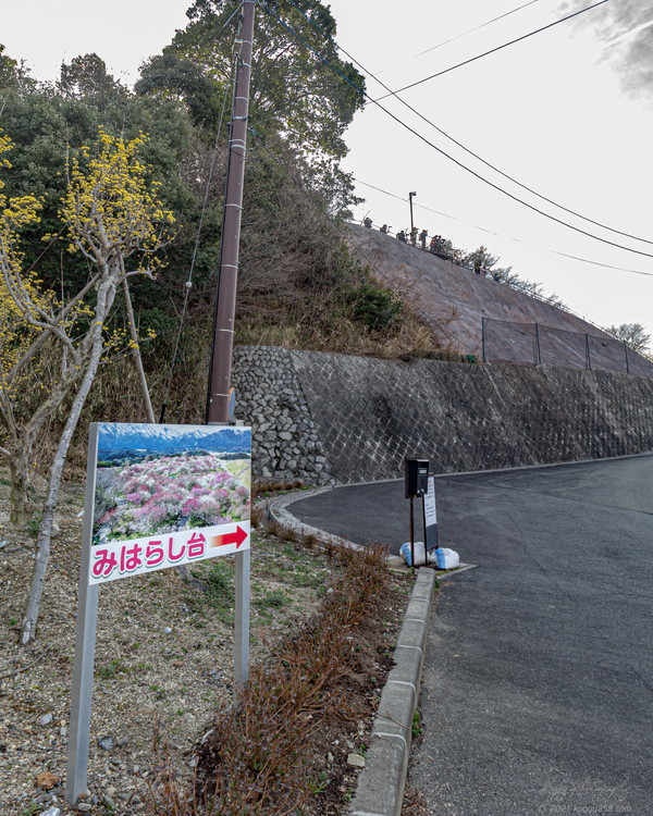 いなべ市農業公園梅林公園の見晴らし台への行き方