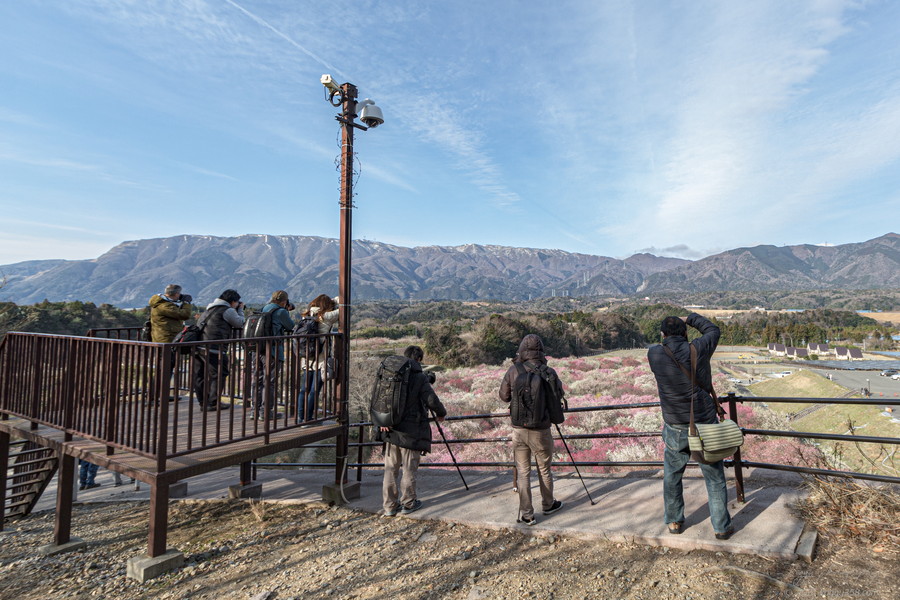 いなべ市農業公園梅林公園の見晴らし台の雰囲気
