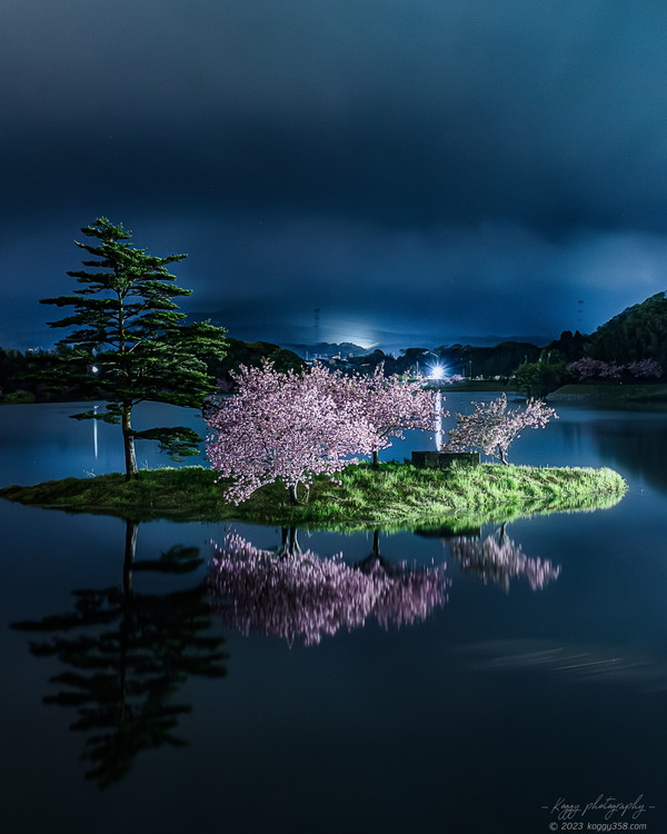 日野川ダムの八重桜の浮島の夜景リフレクションを撮影