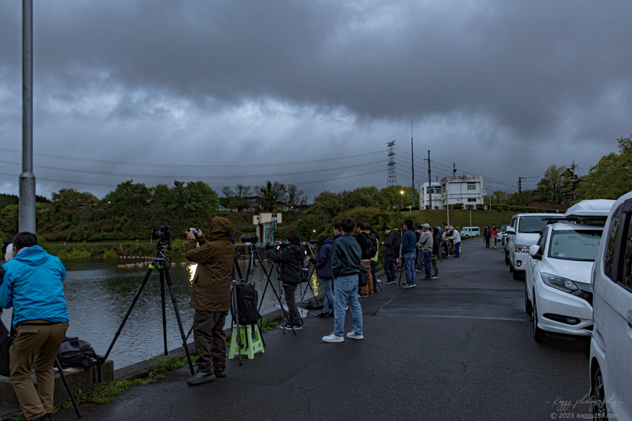 日野川ダムの八重桜の浮島の撮影スポット・駐車場の雰囲気