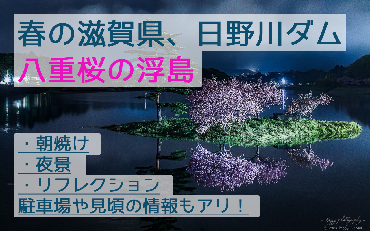 日野川ダムの八重桜の浮島の夜景と早朝のリフレクションを撮影！