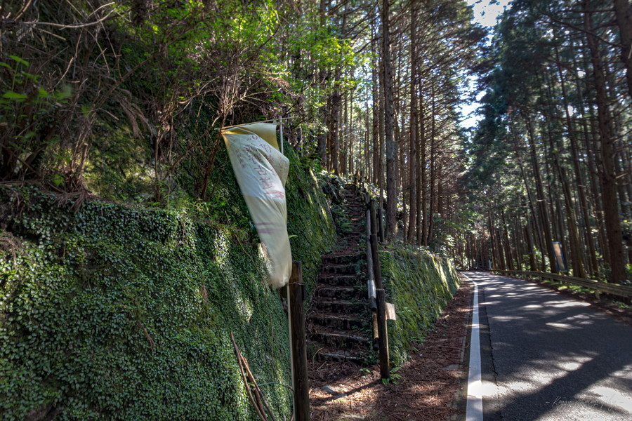 丸山千枚田展望台に向かう熊野古道の通り峠 登り口(南側)の雰囲気