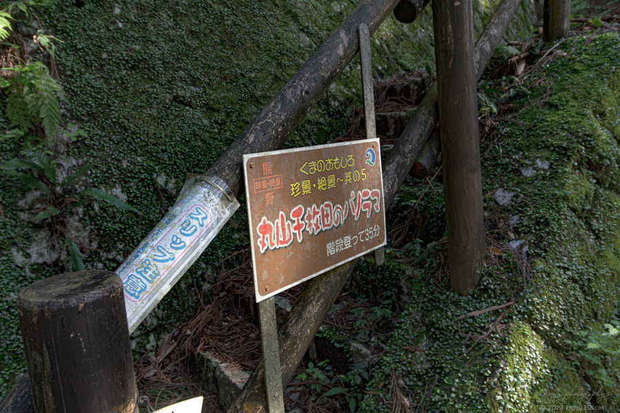 丸山千枚田展望台に向かう熊野古道の通り峠 登り口(南側)の雰囲気