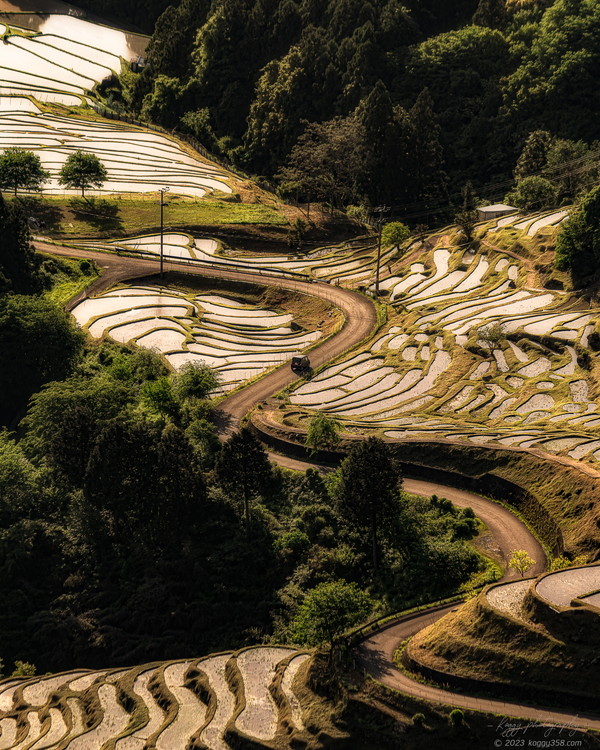 マジックアワーの丸山千枚田の棚田と走る車を撮影