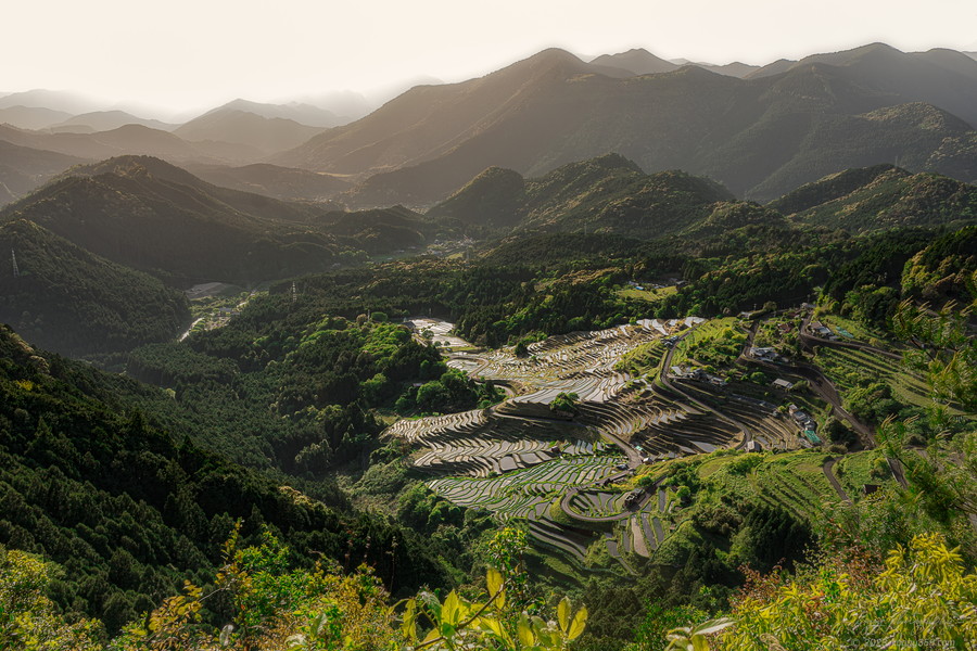 マジックアワーの丸山千枚田の棚田を撮影