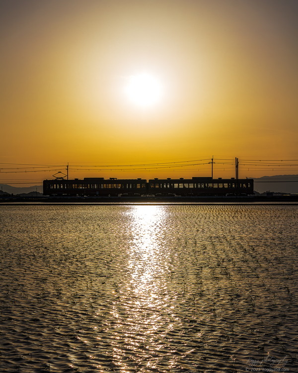 滋賀県東近江市の近江鉄道を夕焼けのマジックアワーに撮影