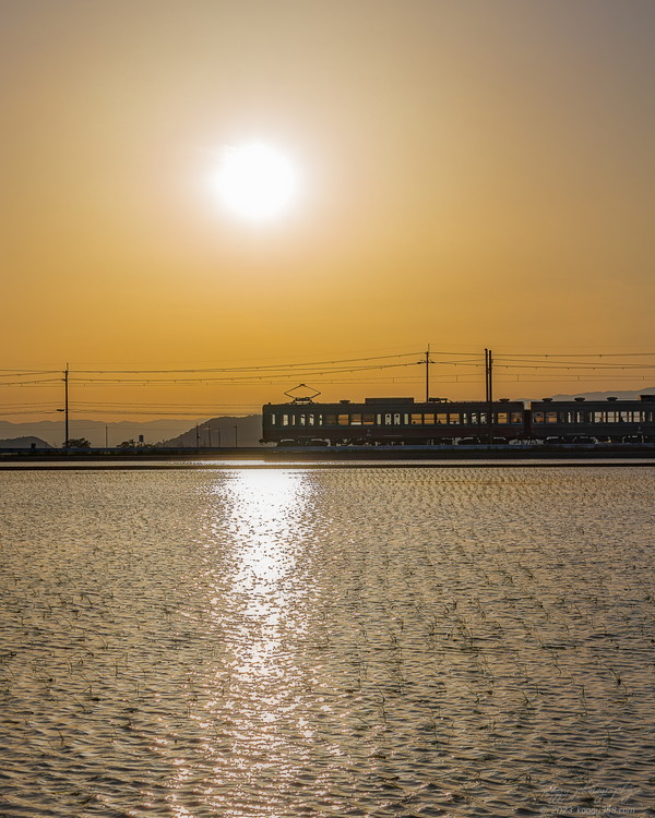 滋賀県東近江市の近江鉄道を夕焼けのマジックアワーに撮影