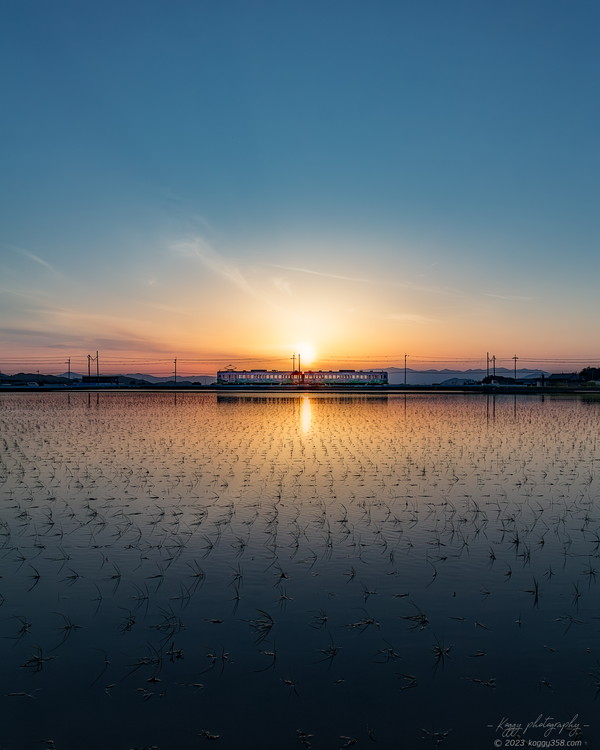 滋賀県東近江市の近江鉄道を夕焼けのマジックアワーに田んぼにリフレクションさせて撮影