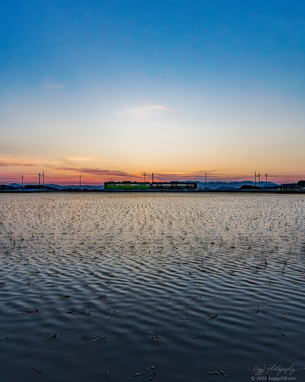 滋賀県東近江市の近江鉄道を夕焼けのマジックアワーに撮影
