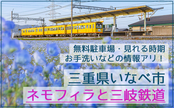 大泉駅でネモフィラブルーに黄色の三岐鉄道を撮影【三重県いなべ市】