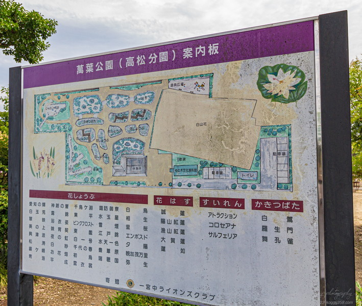 愛知県一宮市の萬葉公園(高松分園)の案内図看板
