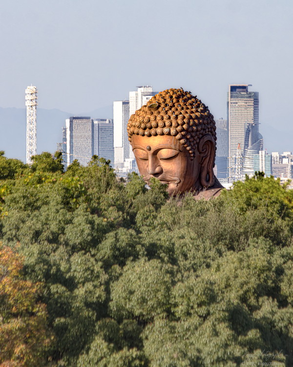 愛知県東海市の聚楽園大仏公園の大仏と遠くに見える名古屋駅のビル群を日中に撮影