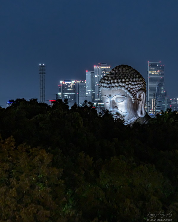 愛知県東海市の聚楽園大仏公園のライトアップされた大仏と遠くに見える名古屋駅のビル群の夜景を撮影