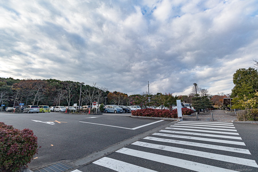 愛知県東海市の聚楽園大仏公園の無料の北側駐車場の雰囲気