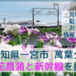 萬葉公園(高松分園)で花菖蒲と新幹線を撮影！【愛知県一宮市】