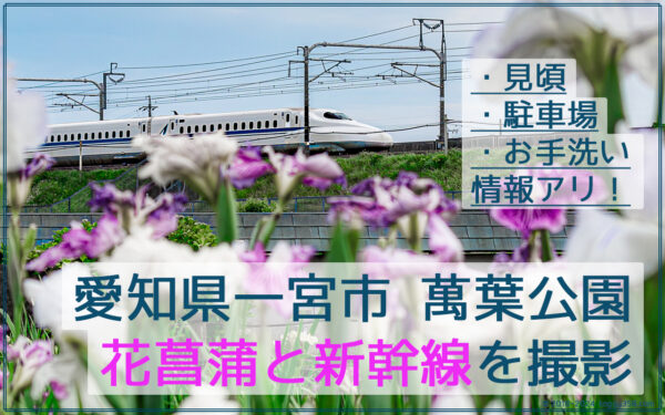 萬葉公園(高松分園)で花菖蒲と新幹線を撮影!【愛知県一宮市】